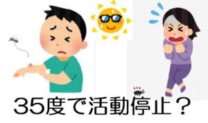 猛暑でも蚊やゴキブリが減るというメリットがあるらしい