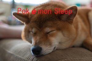 『ポケモンスリープ』配信決定！