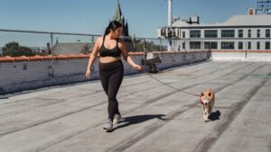 【マル秘】欲求不満解消法！わんわん！知られざる動物愛護の実態