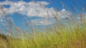 ビックモーター問題で注目を浴びた企業「フマキラー」の一人勝ち！草ｗ