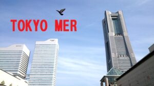 東京MER看護師の菜々緒さん写真集発売