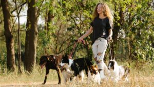 世界初！大阪万博で愛犬を同伴して入場出来ます！ネコは駄目ｗ