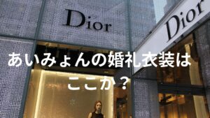 あいみょんと尾崎世界観の結婚に向けての打ち合わせを鮨屋でしていたところを盗撮！