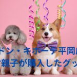 【すすきの頭部切断】ドン・キホーテ平岡店に田村親子が購入したスーツケース、ノコギリ以外に手錠や変装用の金髪のウィッグ特設コーナー！？