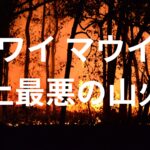 【ハワイ】マウイ島　山火事で街が喪失！意図的に警報を鳴らさず！延焼の原因はユーカリ？少なくとも１１５人が死亡。日本ではあり得ない惨事に阿鼻叫喚