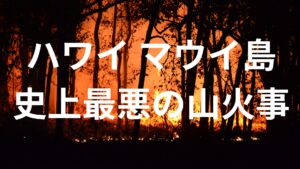 【ハワイ】マウイ島　山火事で街が喪失！意図的に警報を鳴らさず！延焼の原因はユーカリ？少なくとも１１５人が死亡。日本ではあり得ない惨事に阿鼻叫喚