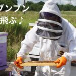 同族経営はこれだから。。。山田養蜂場の次男で専務の山田満生（33歳）が盗撮で逮捕ｗいよいよビッグモーターも逮捕だｗ