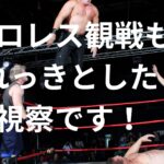 今井絵理子議員がフランスだけでなくベトナムにも行っていた。視察目的は息子である今井礼夢のプロレス観戦だとさ。成果報告が楽しみです