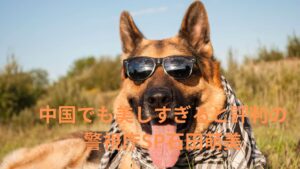 安倍首相を守り切れなかった警視庁SPの石田萌美さんは民主党の野田元首相ともべったりだった。