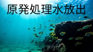 【稚拙】れいわ新選組の山本太郎、日本政府が汚染水を排出したと、英文で全世界に発信。その反響が凄い！