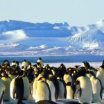 ウルトラクイズ！問題です：北極点にいるとき、南に行けと言われたらどちらにむかいます？