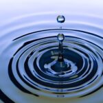 【速報！頭部切断口止めか】田村瑠奈容疑者の重要参考人か！？今度は札幌市中央区のホテルで女性が死亡！