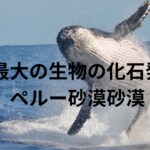 ペルセトゥス・コロッススという地球最大の生物の化石がペルーの砂漠で発見される