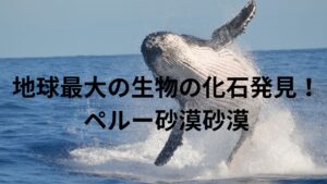 ペルセトゥス・コロッススという地球最大の生物の化石がペルーの砂漠で発見される