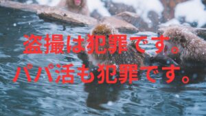 山田養蜂場の山田満生専務（33）を盗撮で逮捕。ついでにJKにHな動画を送らせネットで拡散していた。