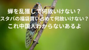 爆買い中国人はウェルカムだけど、日本の公園でセミを乱獲して食べるのは辞めてほしい