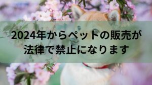 【朗報】2024年から犬や猫のペットの販売禁止法施行だって。ブリーダーさん廃業の危機