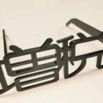 【解散】岸田首相緊急記者会見！次のトップは2世議員確定だって！？