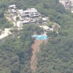 【花粉警報】関東飛来！既に4割の患者が症状発生。コロナとインフルの影響で史上最悪の予想