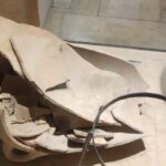 【世界遺産粉砕】旧約聖書の記述より古い3500年前の壺を４歳男児が粉々に割る