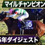 【競馬】11/17(日) 第41回マイルチャンピオンシップ(GⅠ)