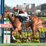 【競馬】来年はルメール騎乗のデンクマールで皐月賞！史上最強馬候補