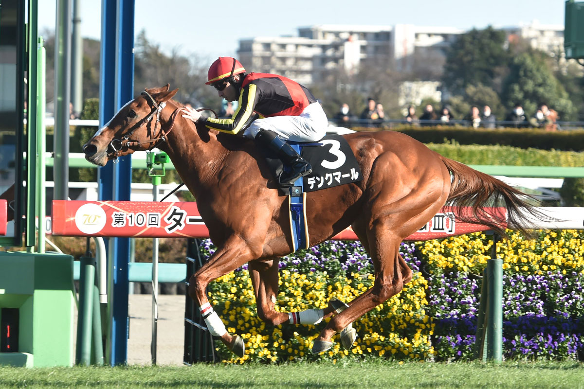 【競馬】来年はルメール騎乗のデンクマールで皐月賞！史上最強馬候補