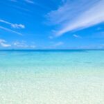 【就活セクハラ】ホテル連れ込まれそうに・大量に酒を飲まされた…セクハラのブルーオーシャンに法規制