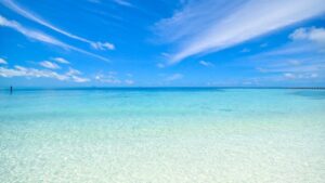 【就活セクハラ】ホテル連れ込まれそうに・大量に酒を飲まされた…セクハラのブルーオーシャンに法規制