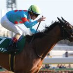 【競馬】4/13(日) 第85回桜花賞(GⅠ) 稍重の阪神競馬場。ウマ娘エンブロイダリーの勝因！