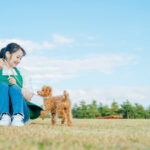 【ペットシッター】快適な老犬ライフ: 排泄問題にどう対処するか