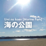 【ゴールデンウィーク】横浜・海の公園での潮干狩りの前に要チェック。