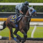 【菊花賞】エネルジコvsエリキングvsゲルチュタール　雨の京都　これしかないでしょ