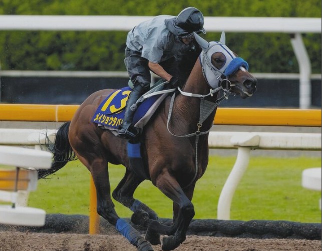 【競馬】第66回宝塚記念(GⅠ) 武豊のメイショウタバルで決まりです。
