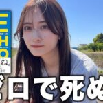 【DIE WITH ZERO】荘子の思想と考え方の似てるところと相違点。老荘思想