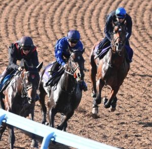 【日本ダービー】AI予想ではゴーイントゥスカイが優勝します。